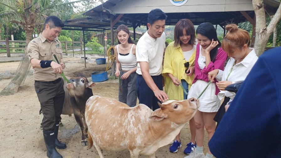 The Bentong Farm Durian Fantastic